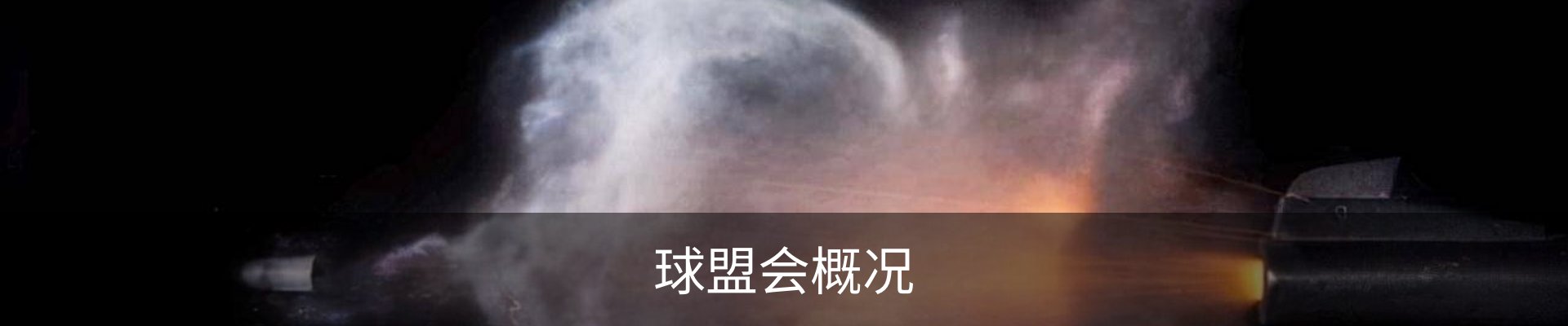 球盟会概况